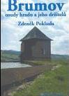 Brumov, osudy hradu a jeho držitelů