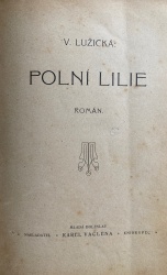 Polní lilie