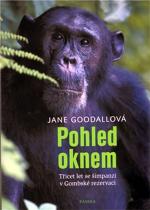 Pohled oknem