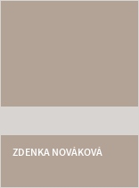 Legislativa v praxi vysokoškolského pedagoga