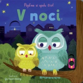 V noci - Pojďme si spolu číst